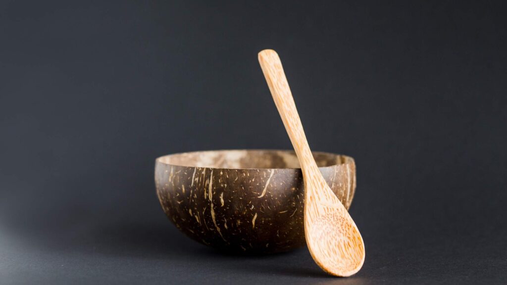 Coconut Shell Bowls  Eco- friendly Gifts