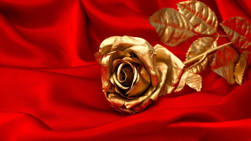 Golden Valentine Roses For Valentine's Day