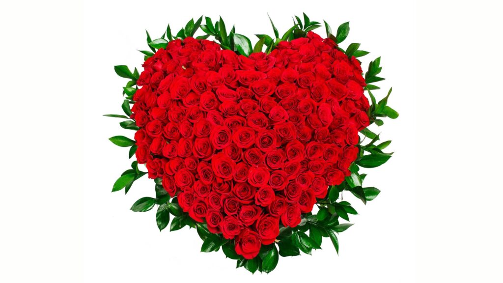 Heart Shaped Red Rose Bouquet Gifts For Valentine's Day