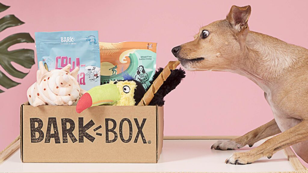 Barkbox Gifts For Dog Lovers