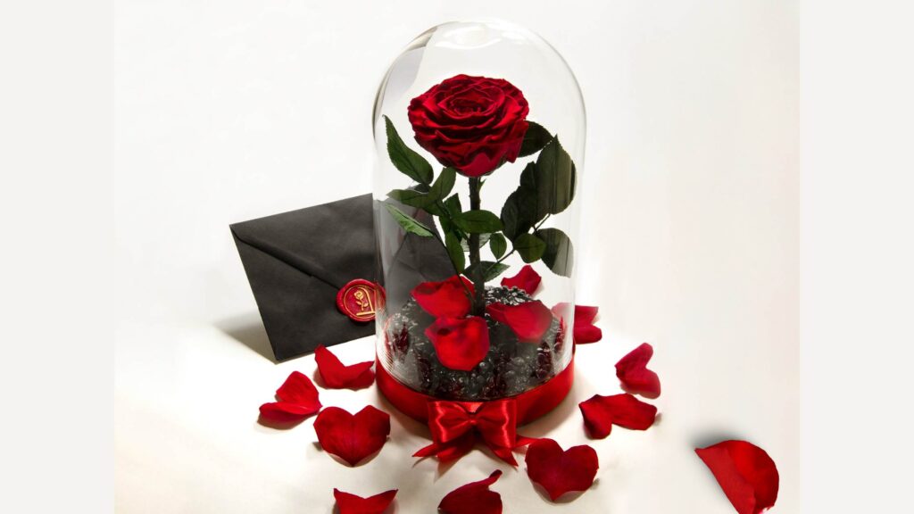 Enchanted Rose As Floral Gifts