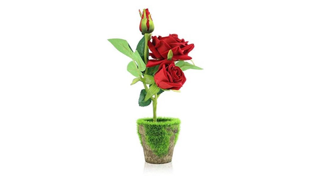 Flower Pots Gift For Gardeners