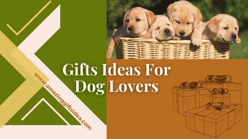 Best Gifts For Dog Lovers And Their Puppies