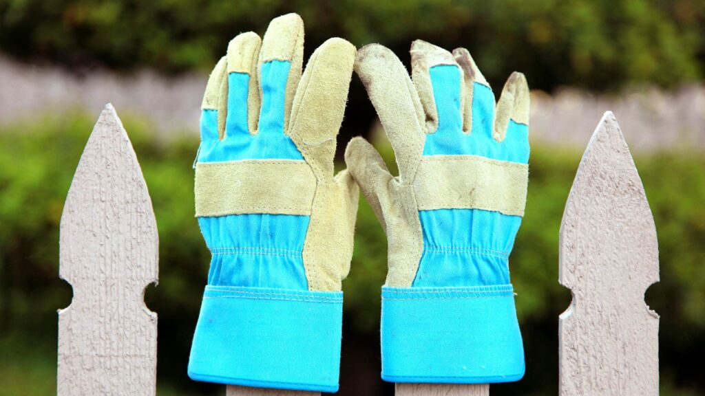 Hand Gloves Gift For Gardeners