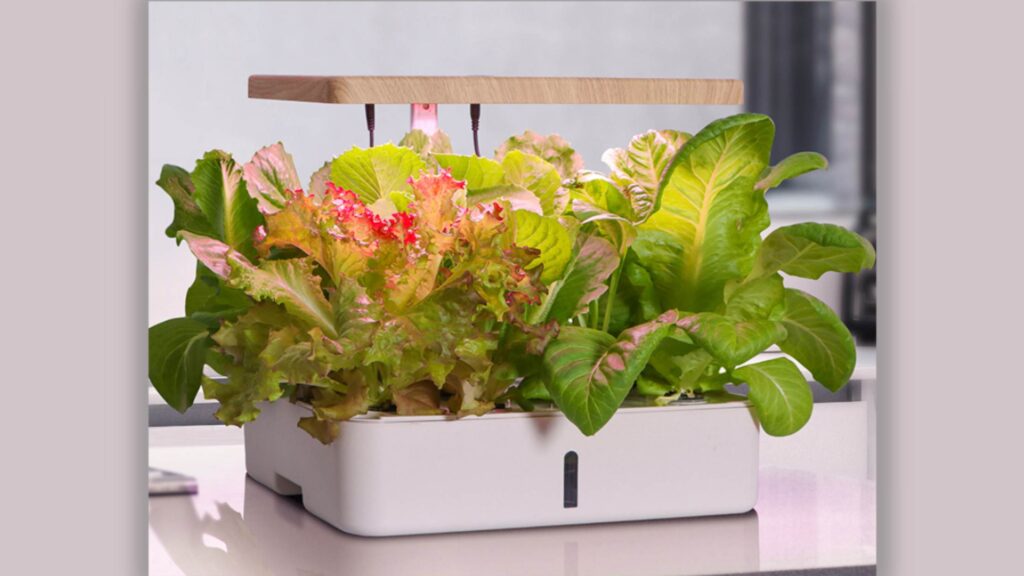 Smart Kitchen Planters