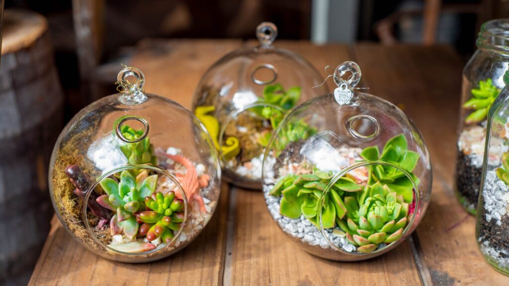 Terrariums Plants Gift For Mom