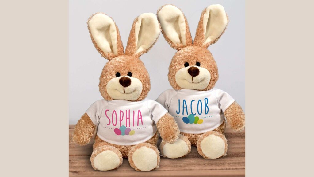 Personalized Stuffed Animals Gifts For Twins