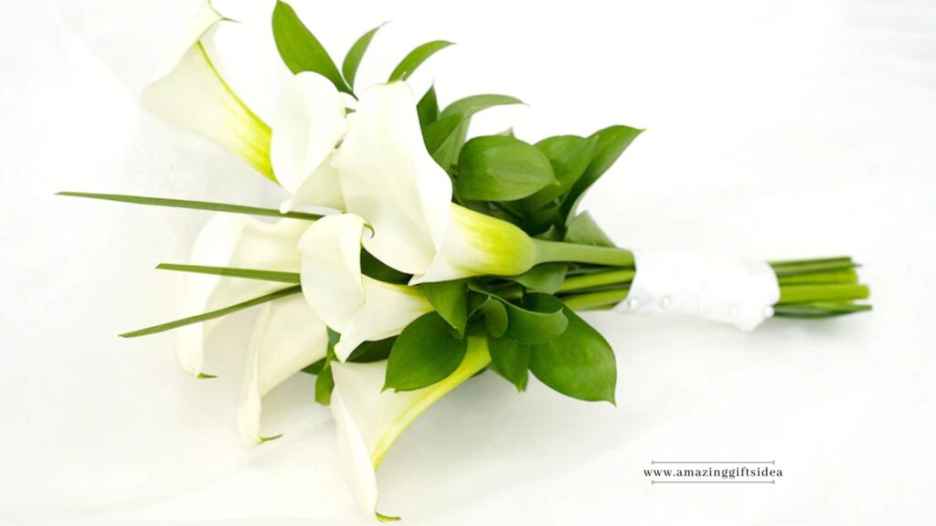 Elegant Calla Lily Bouquet