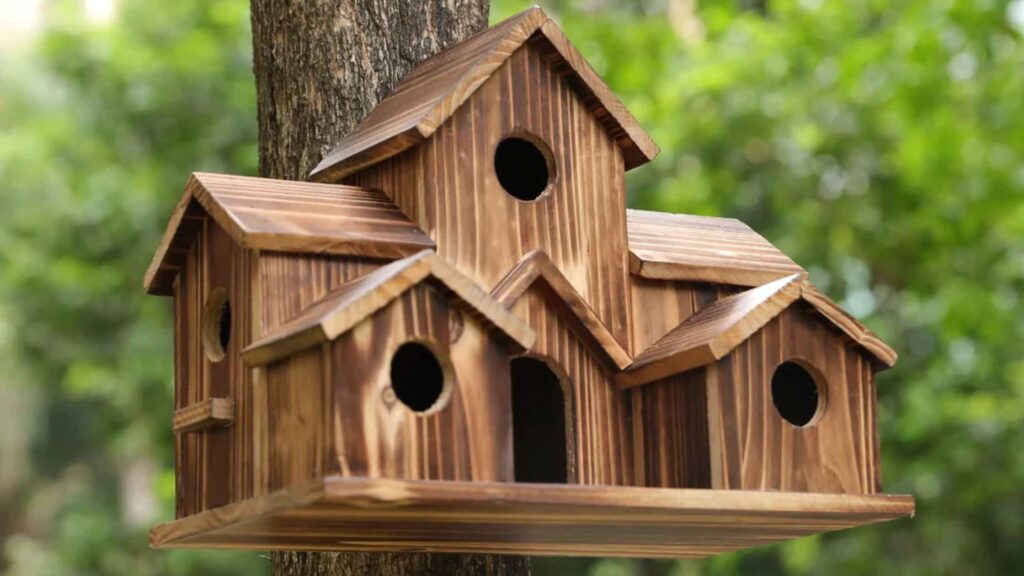 Bird Houses Gifts For Bird Lovers