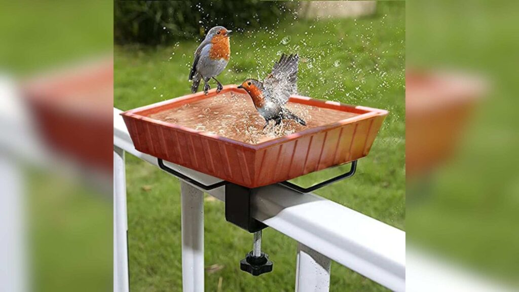 Outdoor Bird Bath